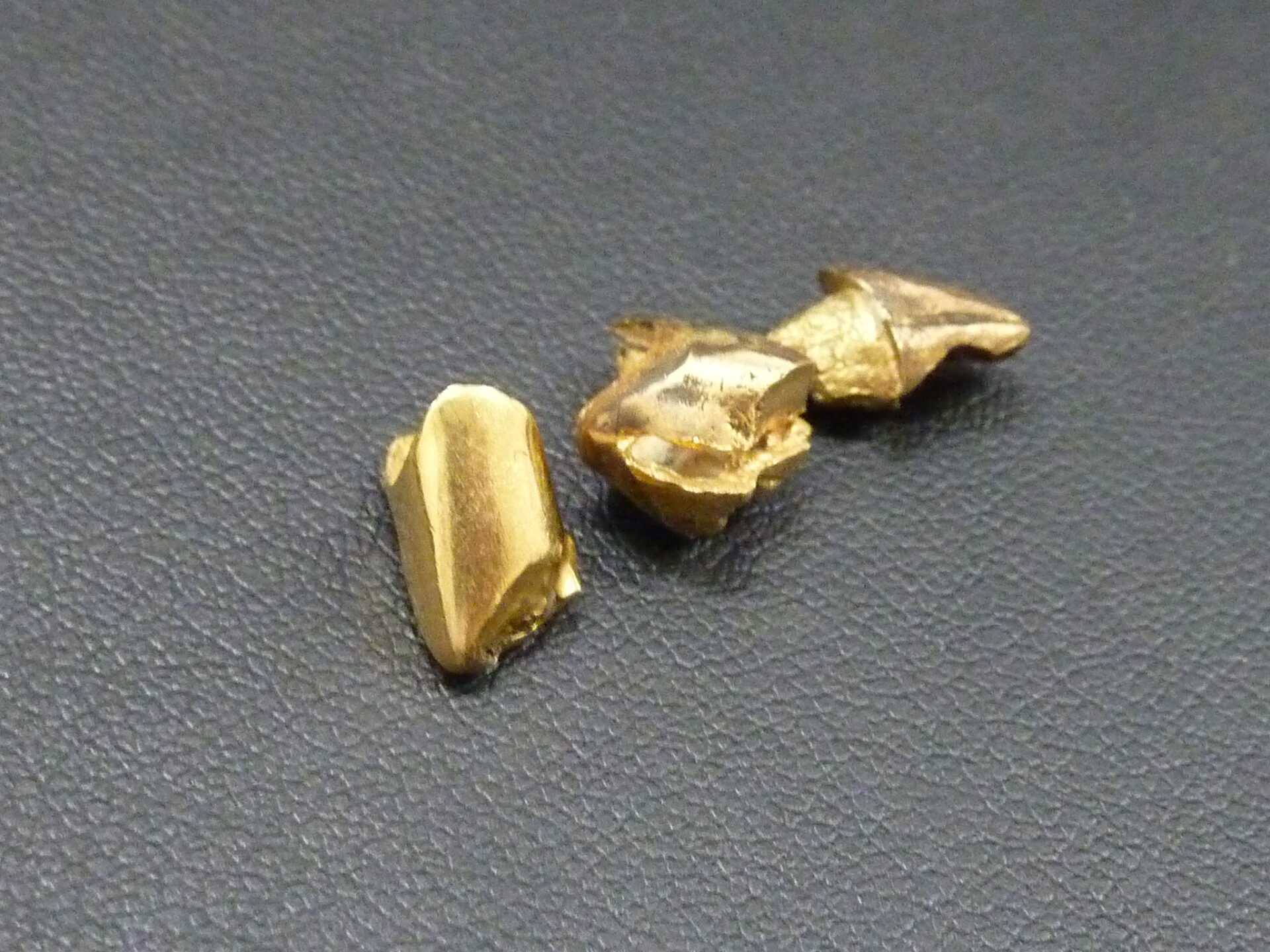 P1160832.jpg
