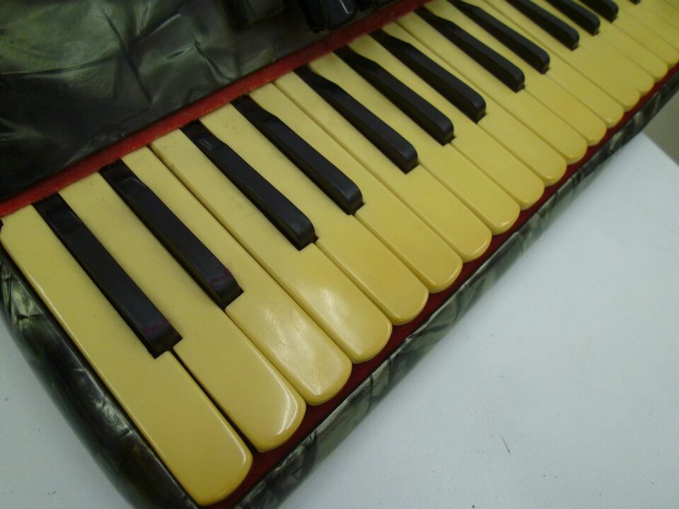 「パロットのアコーディオンをお買い取り　沼津の金のクマ」色んな楽器の買い取りもお気軽にどうぞ♪