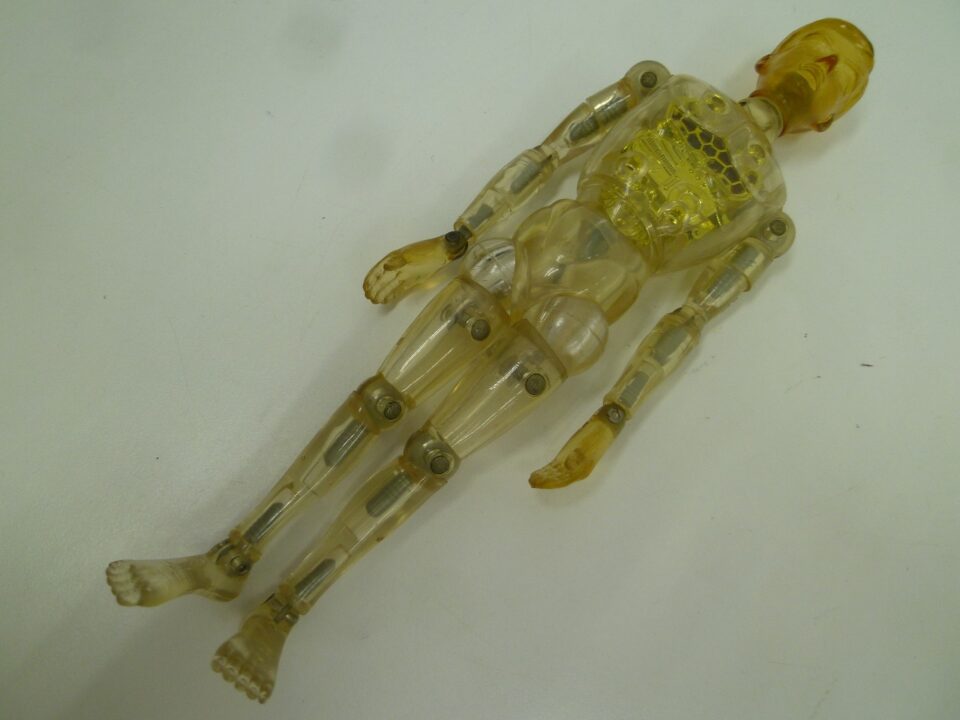 「昔はただの子供のおもちゃ・・・今ではお宝！？　沼津の金のクマ」昭和～平成初期の物にはお宝あり♪