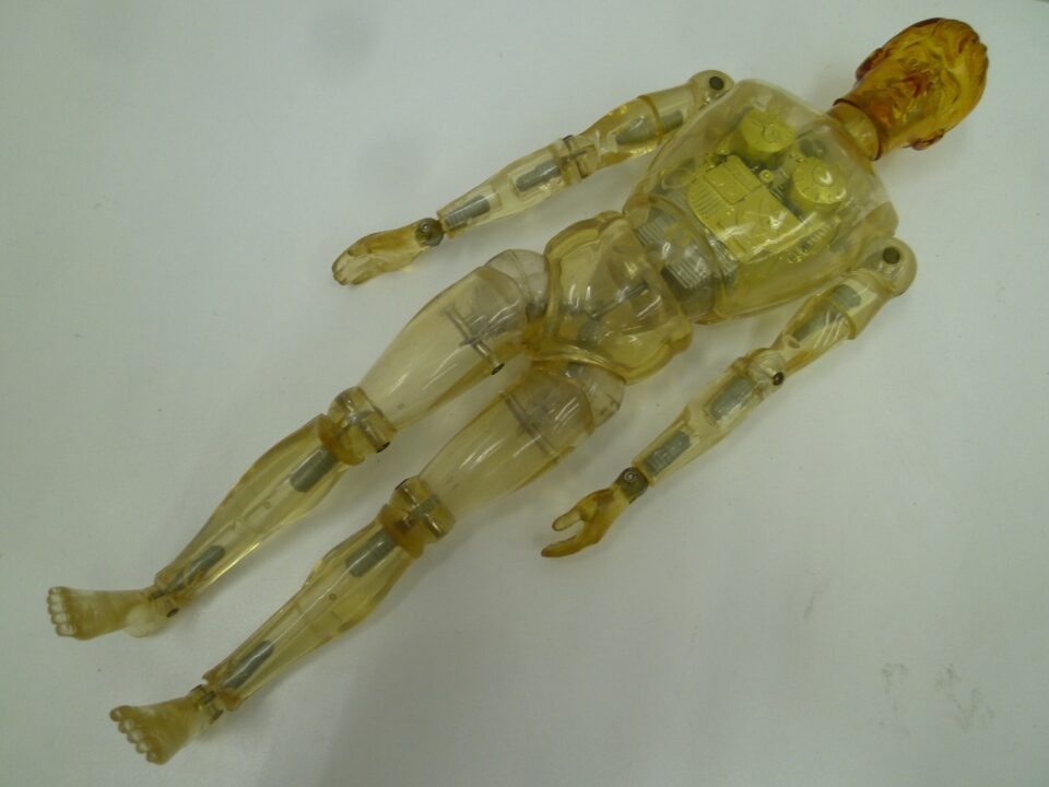 「昔はただの子供のおもちゃ・・・今ではお宝！？　沼津の金のクマ」昭和～平成初期の物にはお宝あり♪